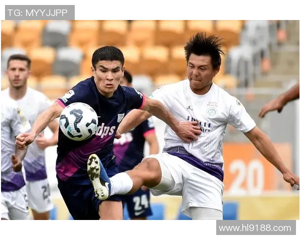 香港足球明星队携手共创海阔天空的辉煌未来与梦想之旅