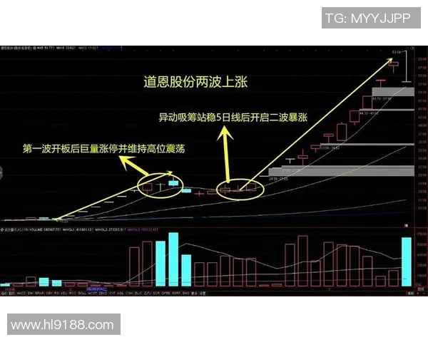 上海乒乓球队灵活性分析与战术创新的深度探讨